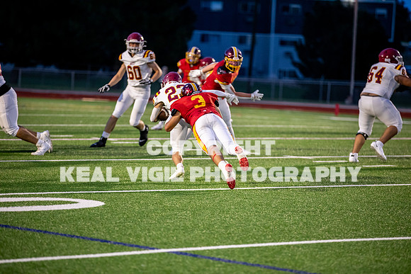 NGHSFB-7481