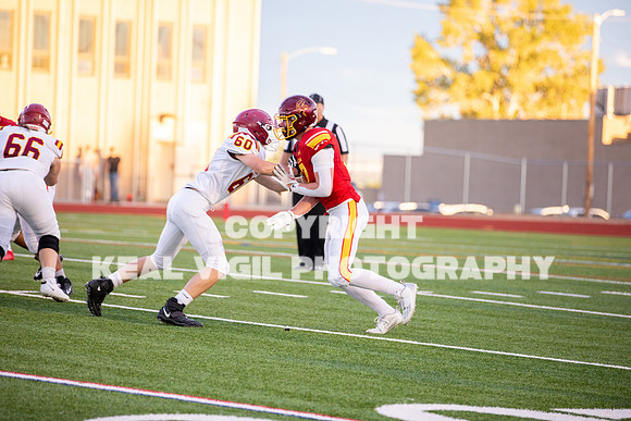 NGHSFB-7319