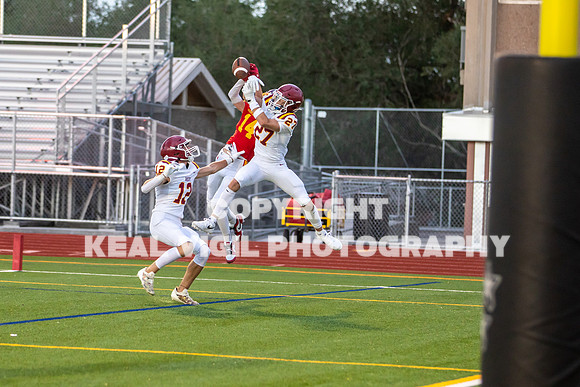 NGHSFB-7389