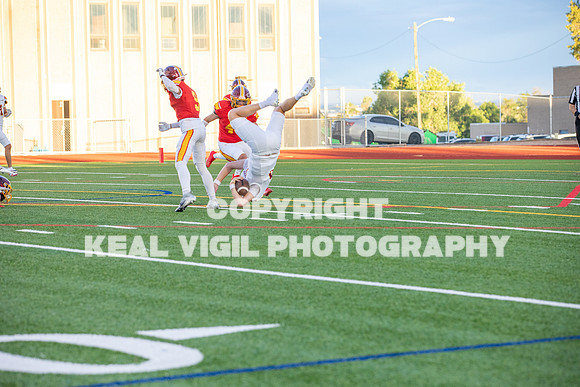 NGHSFB-7263