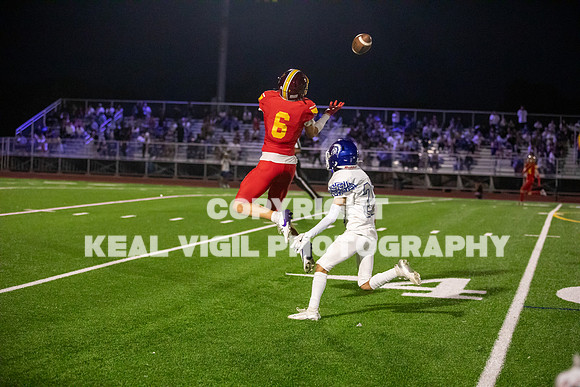 NGHSFB-239
