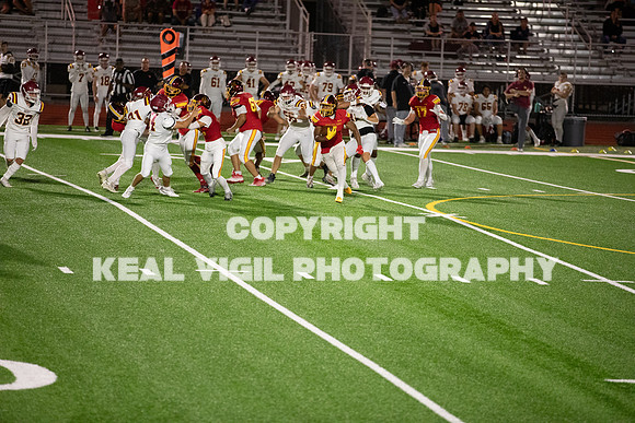 NGHSFB-7861-2