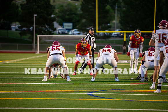 NGHSFB-7399