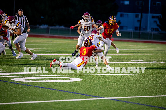 NGHSFB-7482