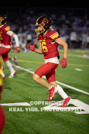 NGHSFB-353