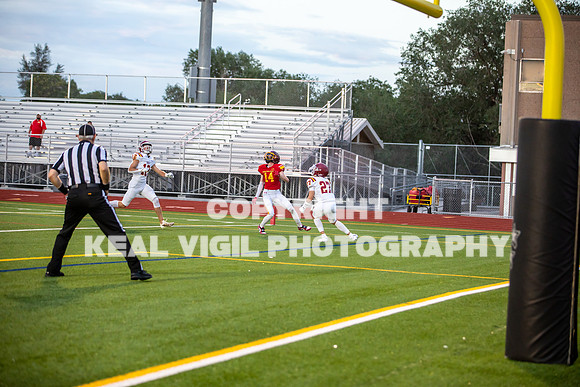 NGHSFB-7385
