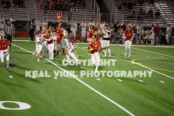NGHSFB-7863-2