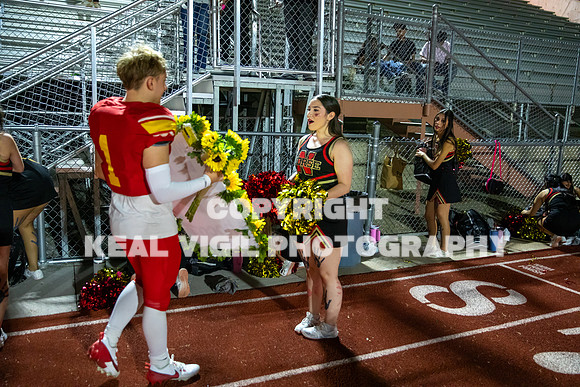 NGHSFB-1099