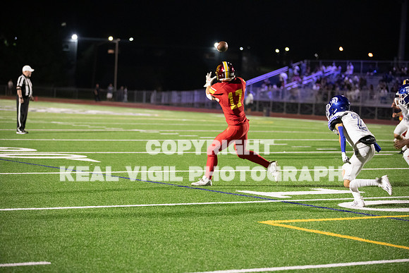 NGHSFB-315