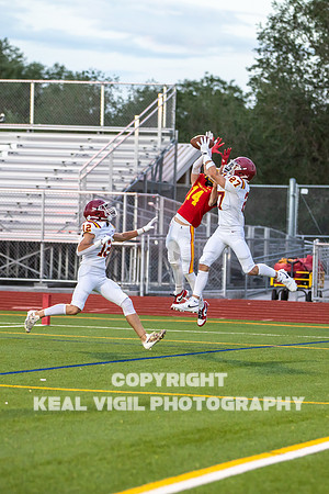 NGHSFB-7388
