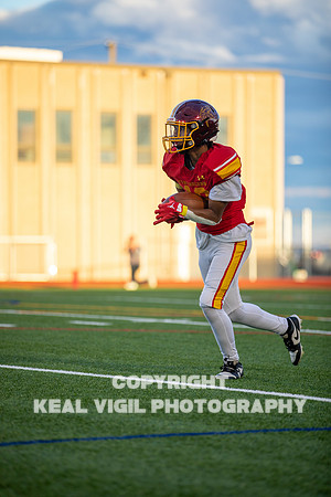 NGHSFB-7231