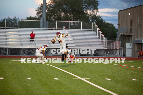 NGHSFB-7450