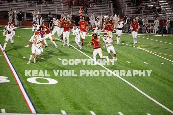 NGHSFB-7866-2