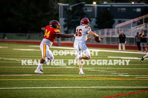 NGHSFB-7407