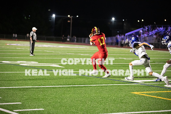 NGHSFB-316
