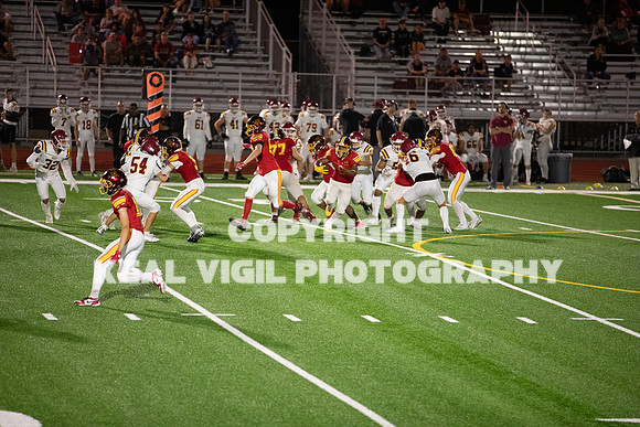 NGHSFB-7858-2