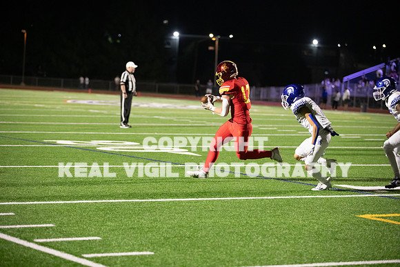 NGHSFB-317