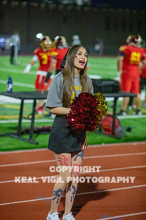 NGHSFB-223