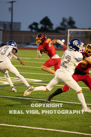 NGHSFB-103