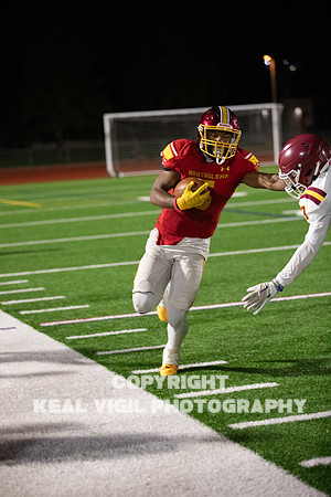 NGHSFB-7738-2