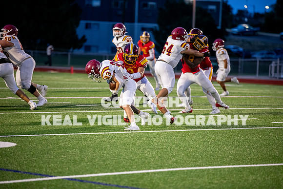 NGHSFB-7477