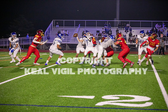 NGHSFB-365
