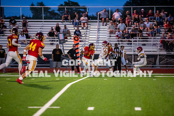 NGHSFB-7498