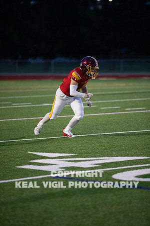 NGHSFB-7459