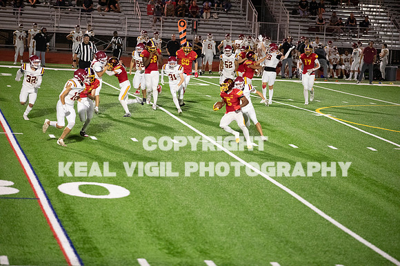 NGHSFB-7865-2